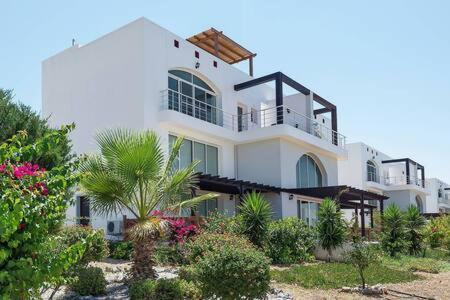 Joya Cyprus Mermaid Penthouse Apartment Agios Amvrosios  Dış mekan fotoğraf